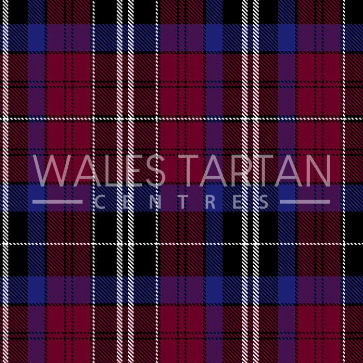 Wynn / Gwyn Tartan | Wales Tartan Centres
